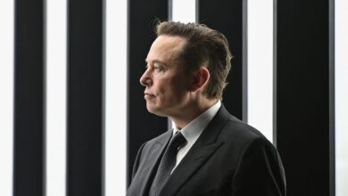 Elon Musk on changes to Twitter Blue, says dogecoin should be accepted