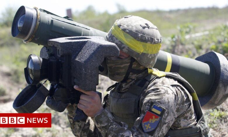 What weapons did the US give Ukraine - and how much did they help?