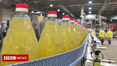 Sunflower oil: UK bottler has several weeks of supply left