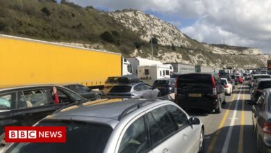 Dover queues due to lack of cross-Channel ferries