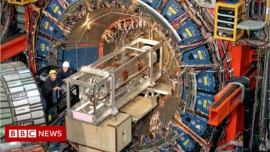 Shock results in particle experiment could spark a physics revolution