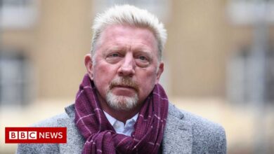 Boris Becker committed four crimes under the Bankruptcy Act