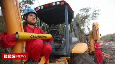 Mexico's Maya Train: Work halted due to cave concerns