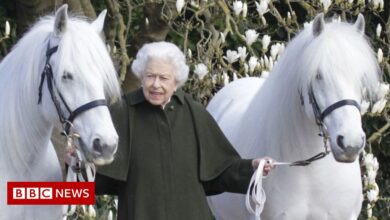 The Queen celebrates her 96th birthday in Sandringham