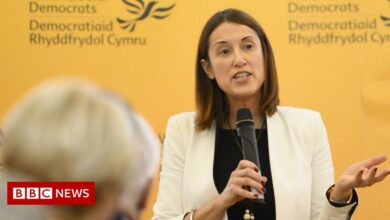 Elections 2022: Liberal Democrats in better place - Welsh leader