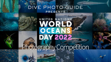 The IXth Annual United Nations World Oceans Day Photography Contest Closing