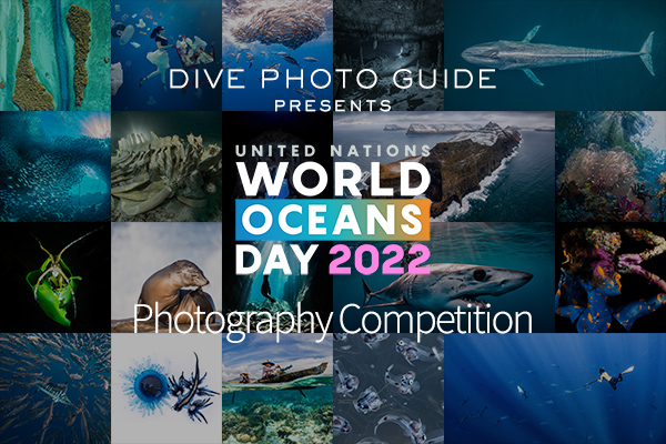 The IXth Annual United Nations World Oceans Day Photography Contest Closing