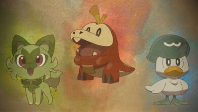Pokémon Diversity Program to Share "Pokémon Game Latest" Next Week