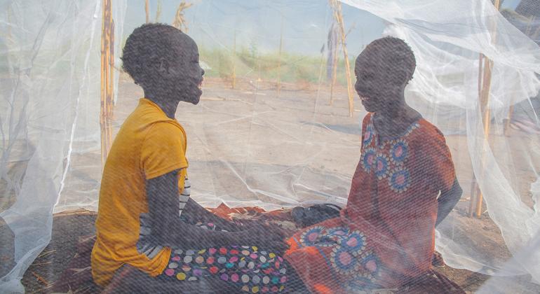 Towards a world without malaria |
