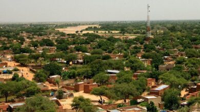 West Darfur: Medics, children, among 200 killed in 'senseless and brutal attacks' |