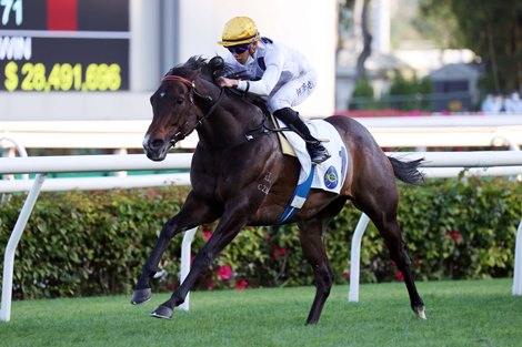 Golden Sixty returns to form in the President's Cup