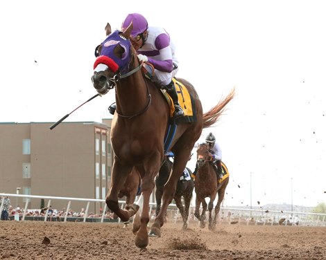Illness Knocks Slow Andy Out of Kentucky Derby