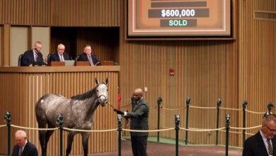 'Push the boundaries' at the HORA April sale in Keeneland