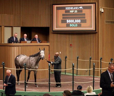'Push the boundaries' at the HORA April sale in Keeneland