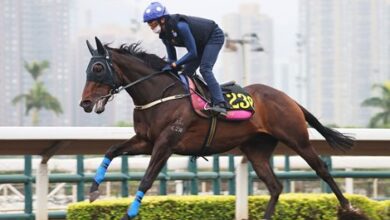 Golden Sixty Chase HK history at Champions Mile