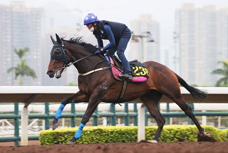 Golden Sixty Chase HK history at Champions Mile