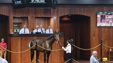 Momentum Continues at OBS Spring Sale