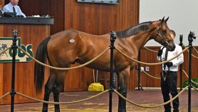 $2.3 Million Uncle Mo Colt Top First Day of OBS Spring Sale