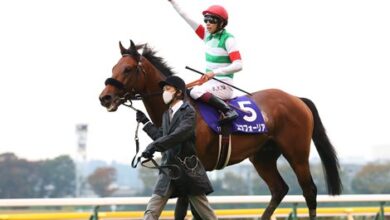 Japan's horse of the year Efforia returns in Osaka Hai