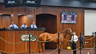 Justify Colt Brings In Early $600K In OBS Spring Sale