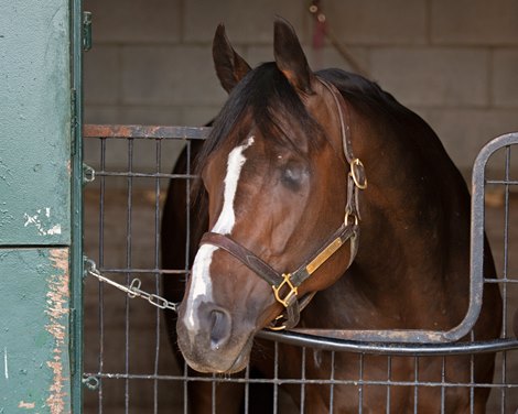 Mighty Heart repeats as Canada's Horse of the Year