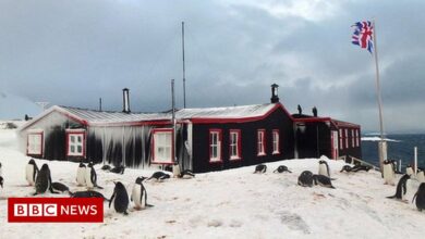 British charity hunts down Antarctica's postal operator team