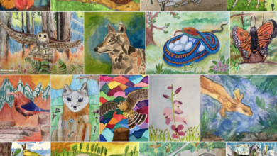 Semi-finalists selected in the Youth Art Competition of Endangered Species