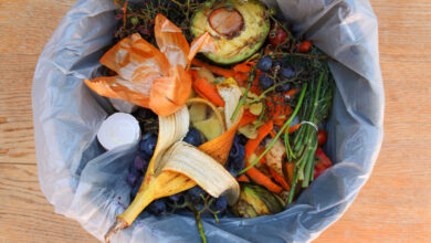 Kitchen garbage bin full of food scraps