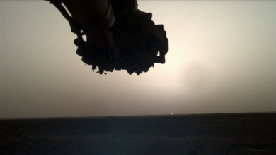 NASA captures sunrise on Mars!  Check out this stunning photo of Dawn on Mars with the InSight . crawler