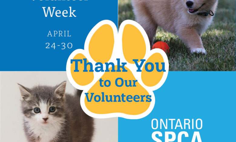 Empathy with animals is what makes Ontario SPCA volunteers shine