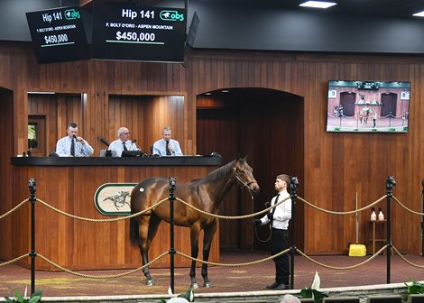 $450,000 Bolt d'Oro Filly for Nass from OBS Spring