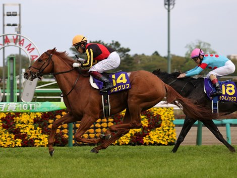 Drefong Colt wins first place in Japan's trio of crowns