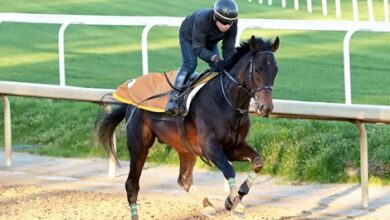 Kentucky Derby Starter a Source of 'Pride' for Japan
