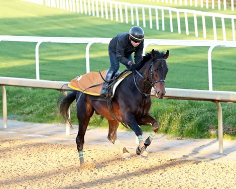 Kentucky Derby Starter a Source of 'Pride' for Japan