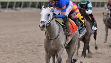 White Abarrio Fires Bullet at Gulfstream