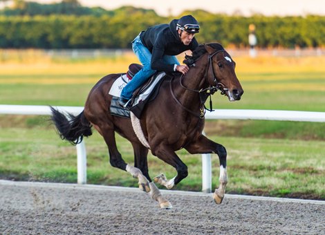 The greatest set of honors to return at Ghostzapper Stakes