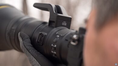 A Look at the New Nikon NIKKOR Z 800mm f/6.3 VR S Lens