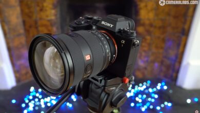 A Review of the New Sony FE 24-70mm f/2.8 GM II Lens