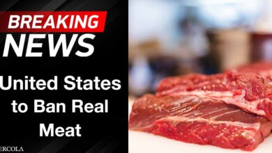 United States to Ban Real Meat