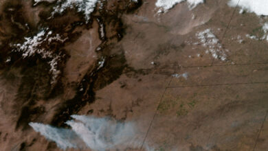 NOAA Image Captures Smoke and Dust of Wildfires on Impact Field