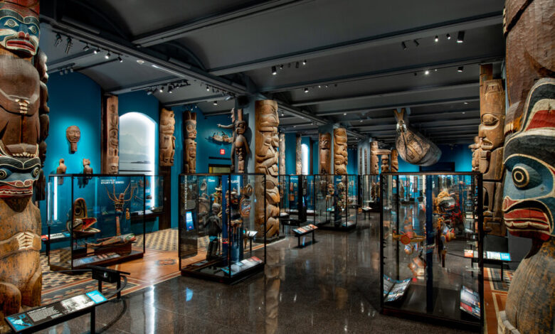 Natural History Museum Renovated Lobby Stores Treasures and Sorrows