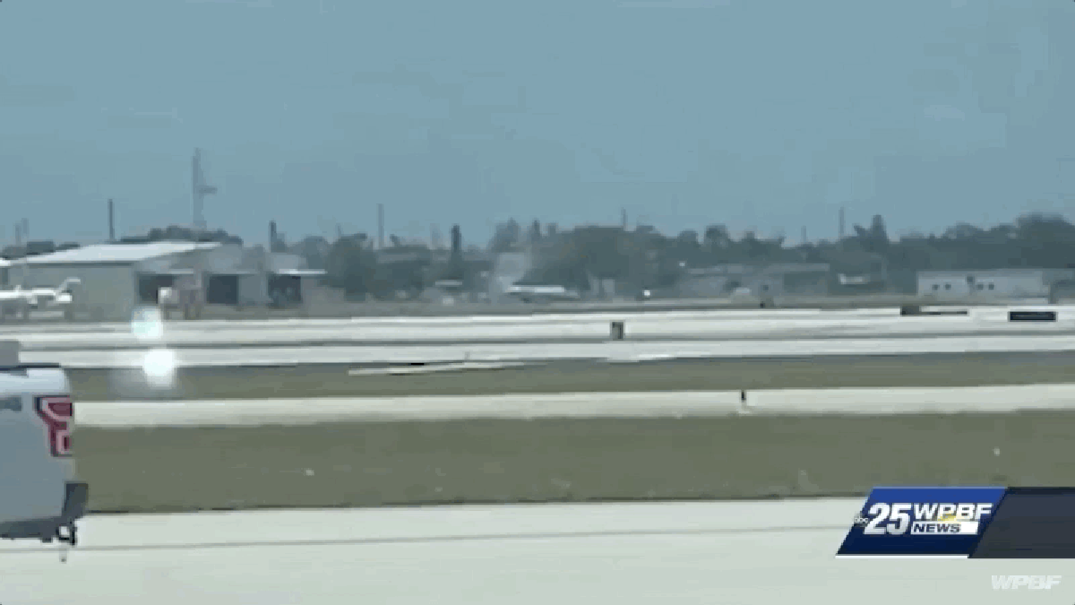 Plane lands with passengers after pilot becomes unresponsive