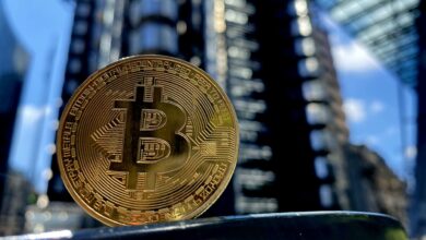 Crypto firms hope bear market will weed out bad players