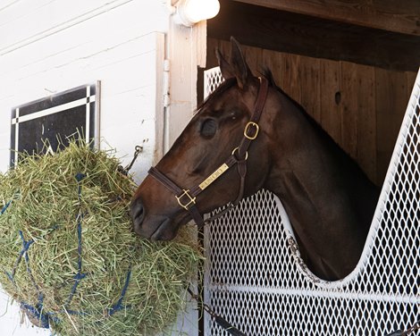 Un Ojo Out of Kentucky Derby, Ethereal Road Makes Field