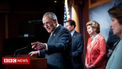 US Democrats' bid for federal abortion law fails in the Senate