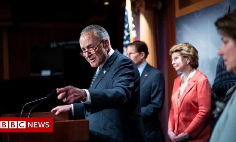 US Democrats' bid for federal abortion law fails in the Senate