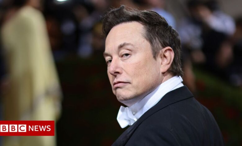Twitter boss responds to suspicions about Musk's fake account