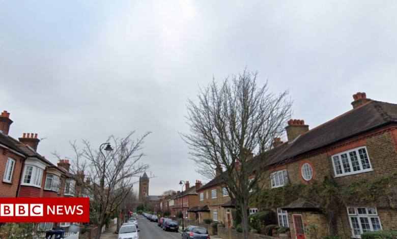 Cure: Woman, 21, stabbed to death in west London alley