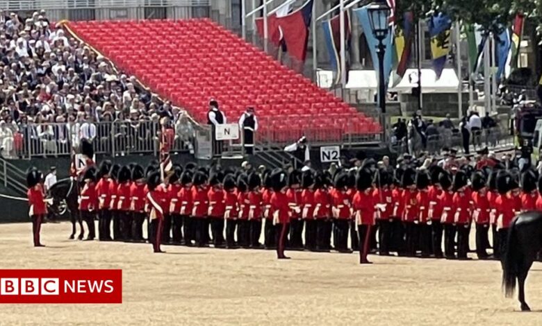 Trooping the Color: Spectator injured at rehearsal