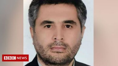Iran vows revenge after Revolutionary Guard colonel assassinated